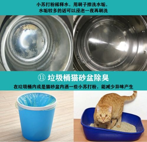 一物多用，清潔無憂——小蘇打粉的全方位清潔指南